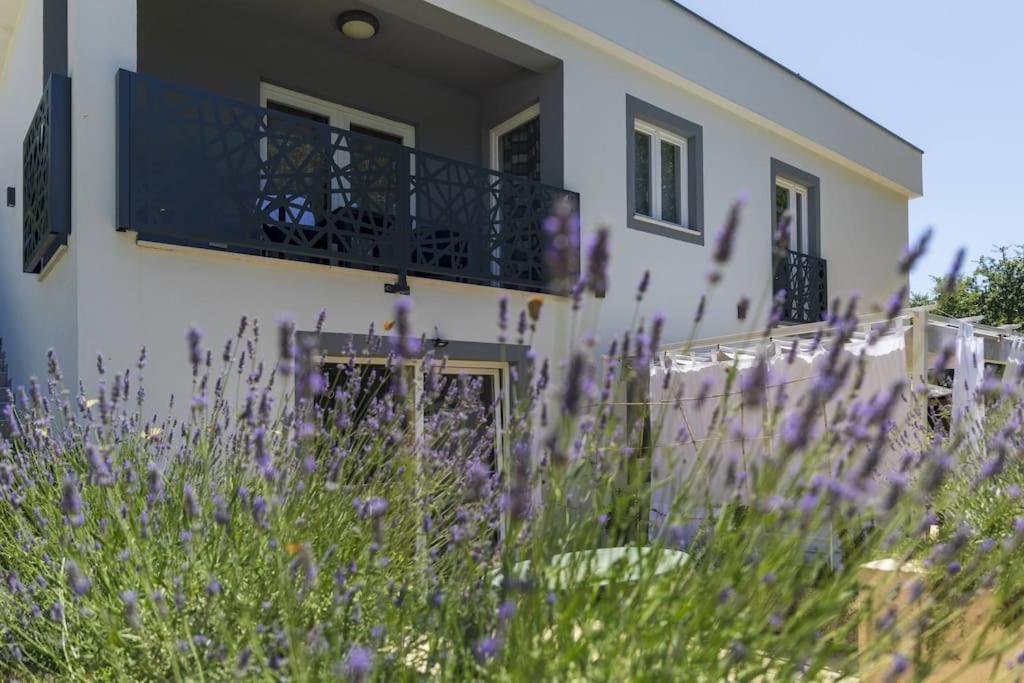 Luxury Villa Cetiri Hrasta Pican Bagian luar foto